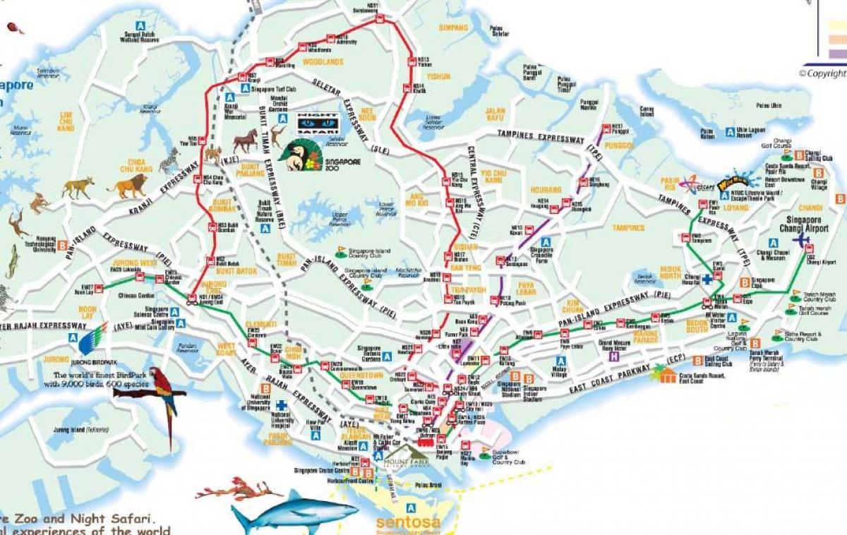 tee kaart Singapur